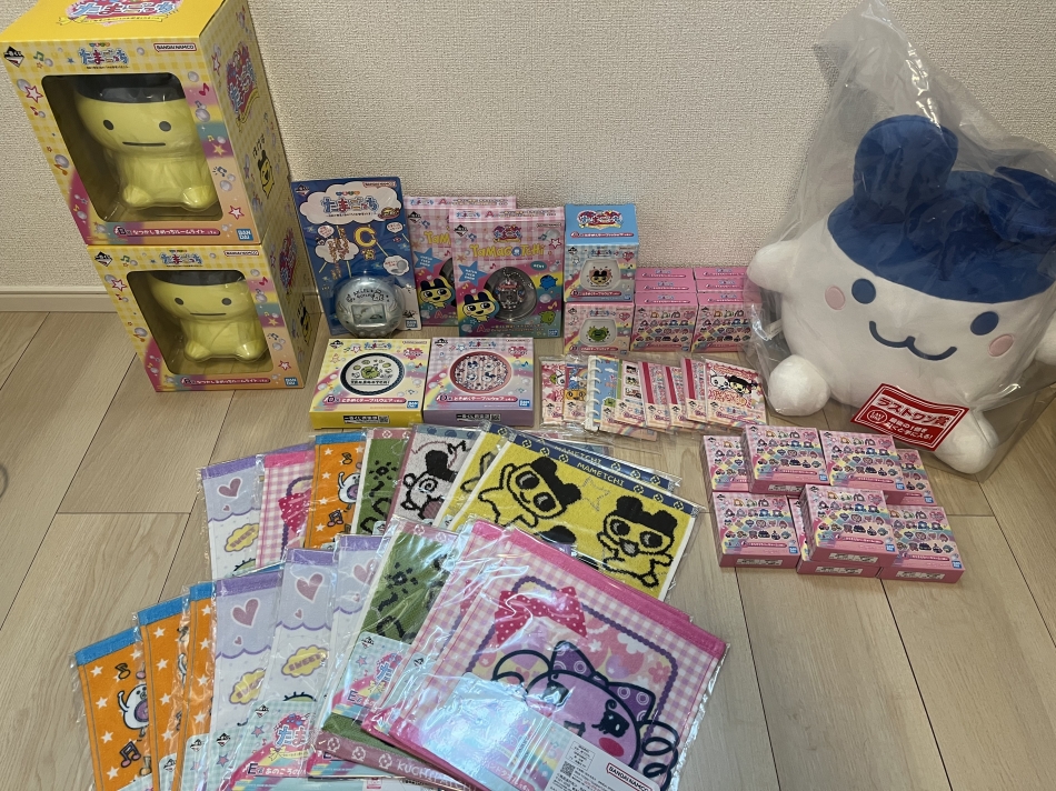 月のお小遣い超した大人買い