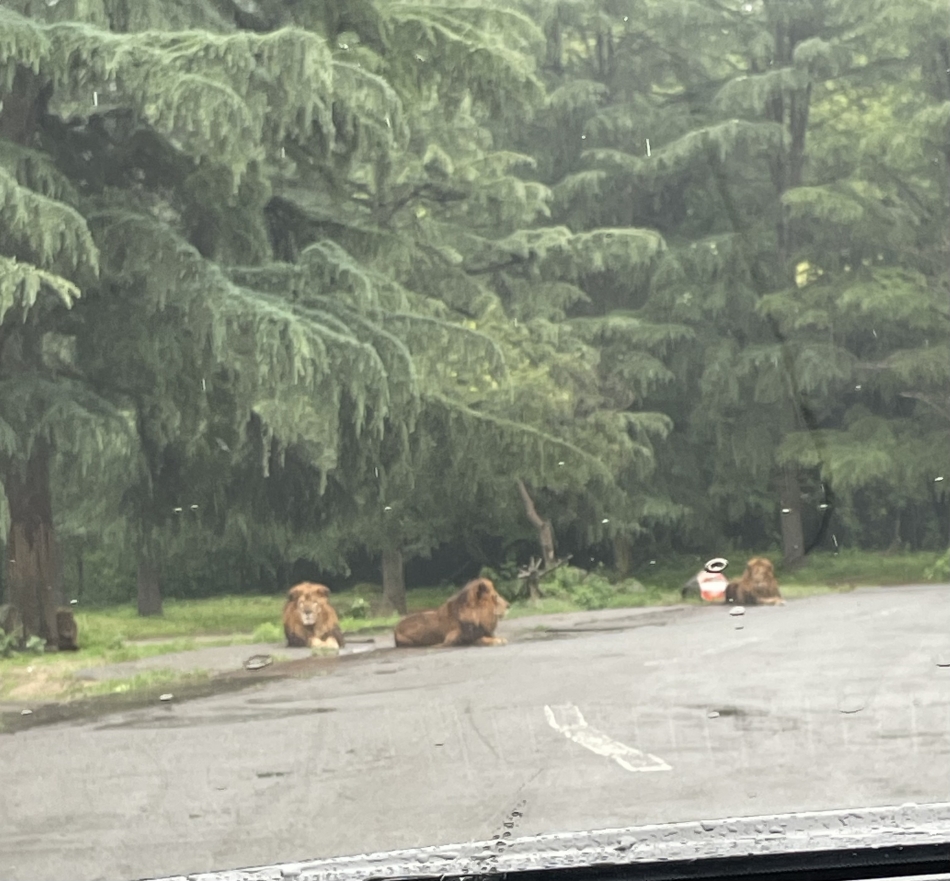 Club Lusso日記913191