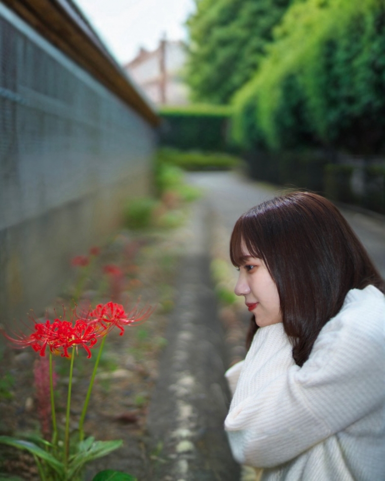 店休日