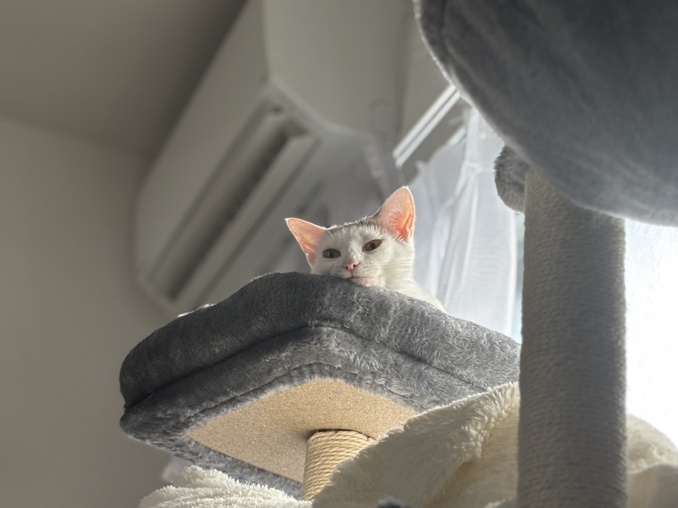 気づかなかった方が良かったかも