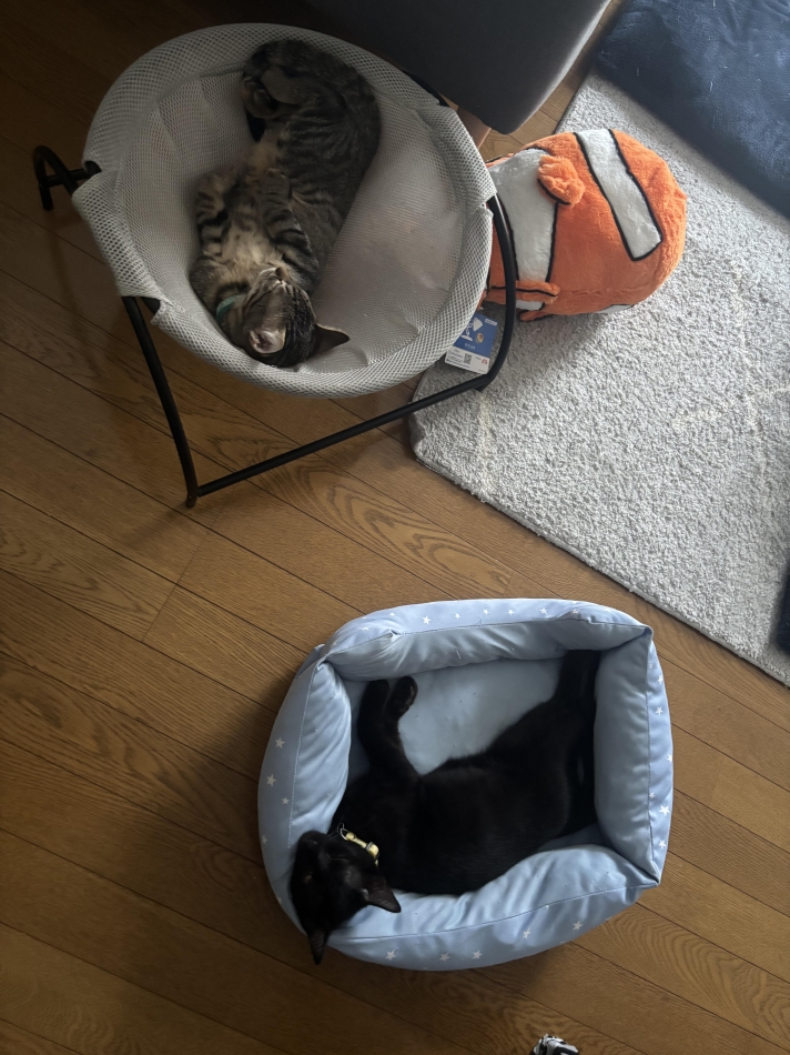 BRILLAR日記1400428