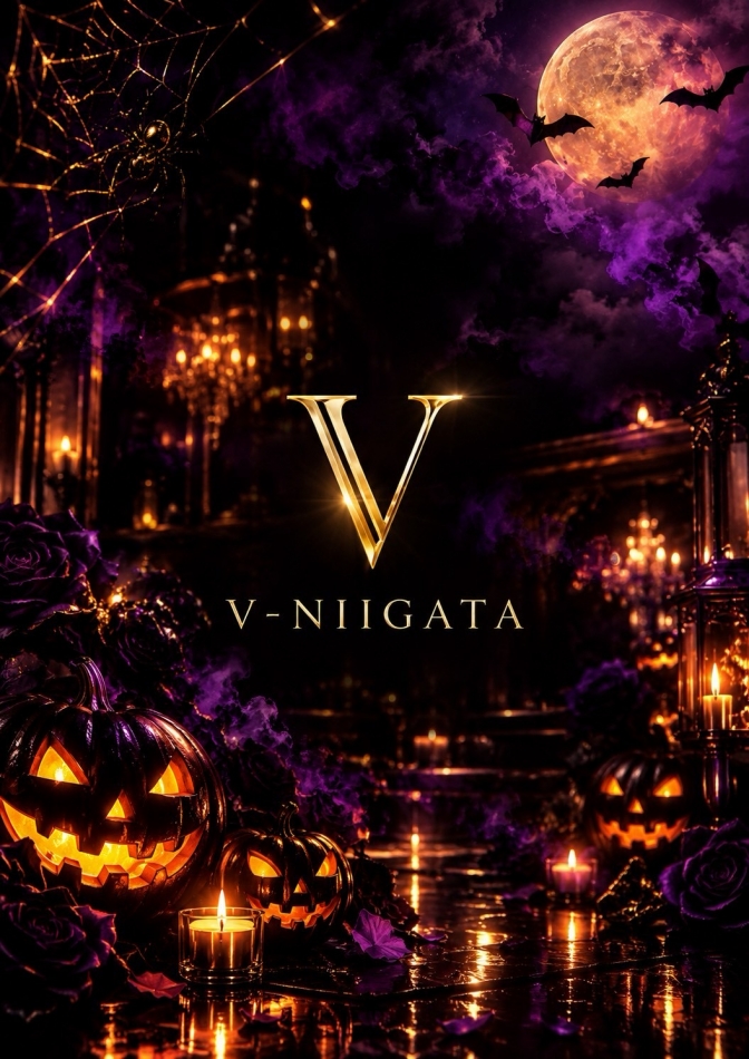 V-niigata-日記1786032