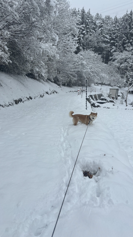 こんばんは¨̮⃝ 4/12