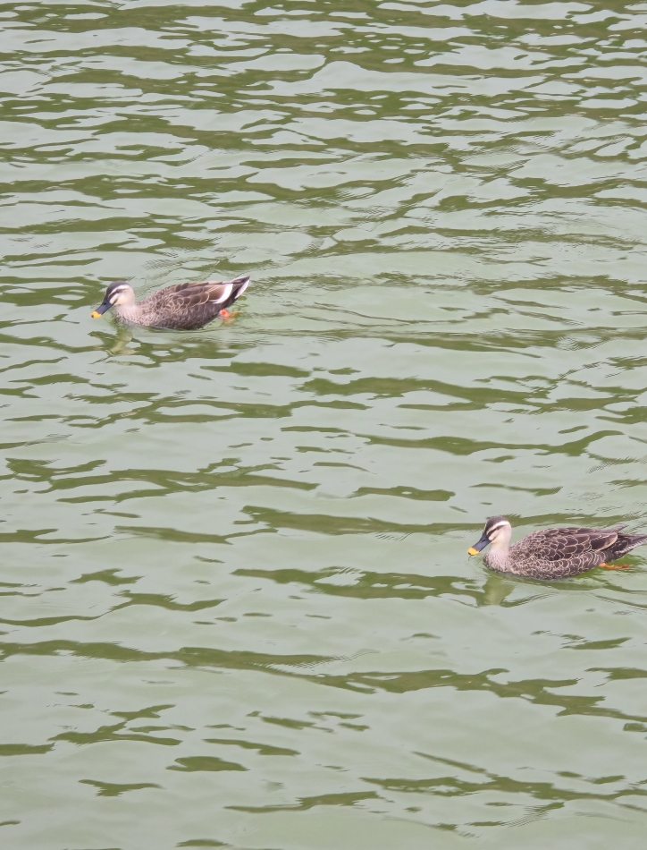 クラブ プラチナ 長野日記1646771
