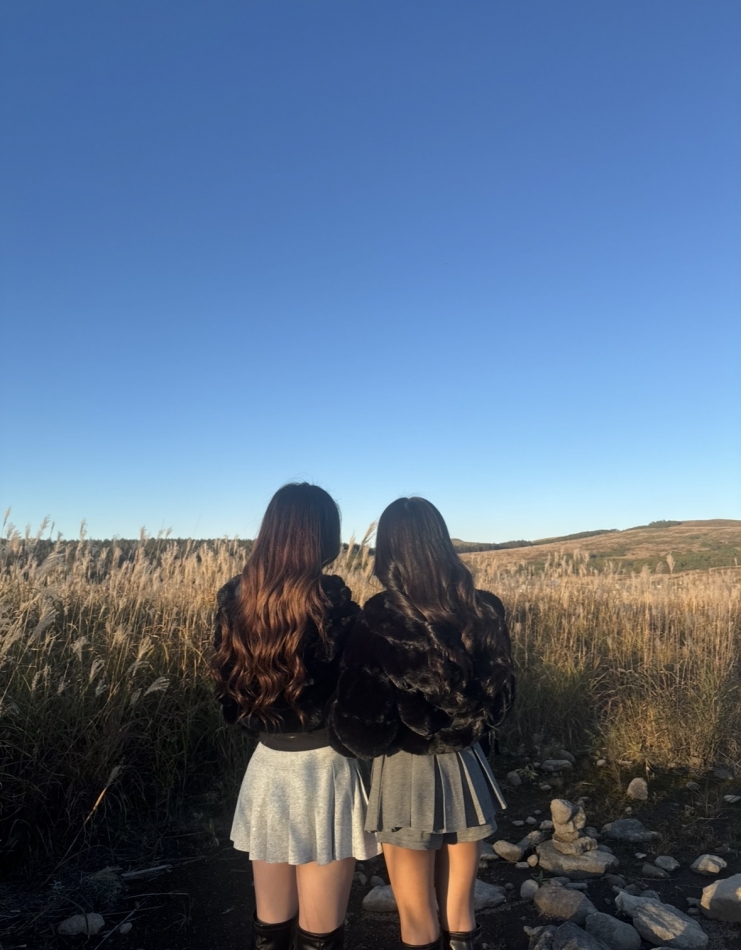 一条 葵