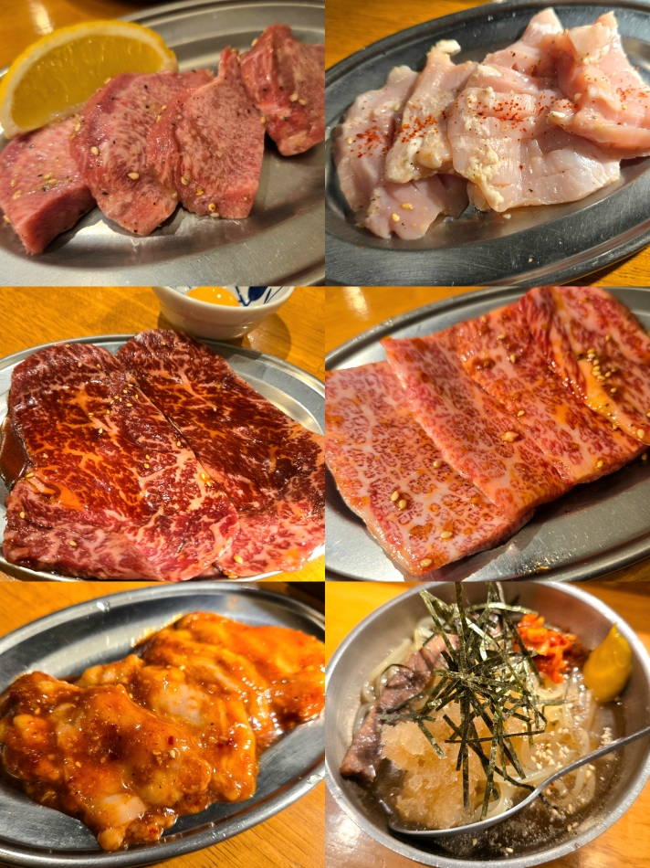 一条 葵