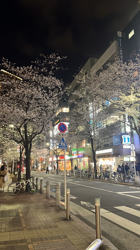 CHUNーLUU日記1329494