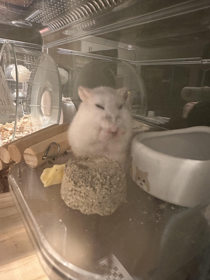 藤咲 あや