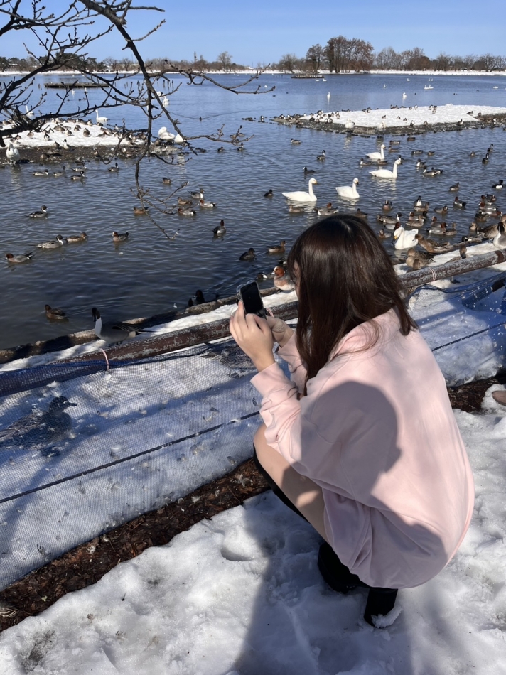 久しぶりの瓢湖🪿💞