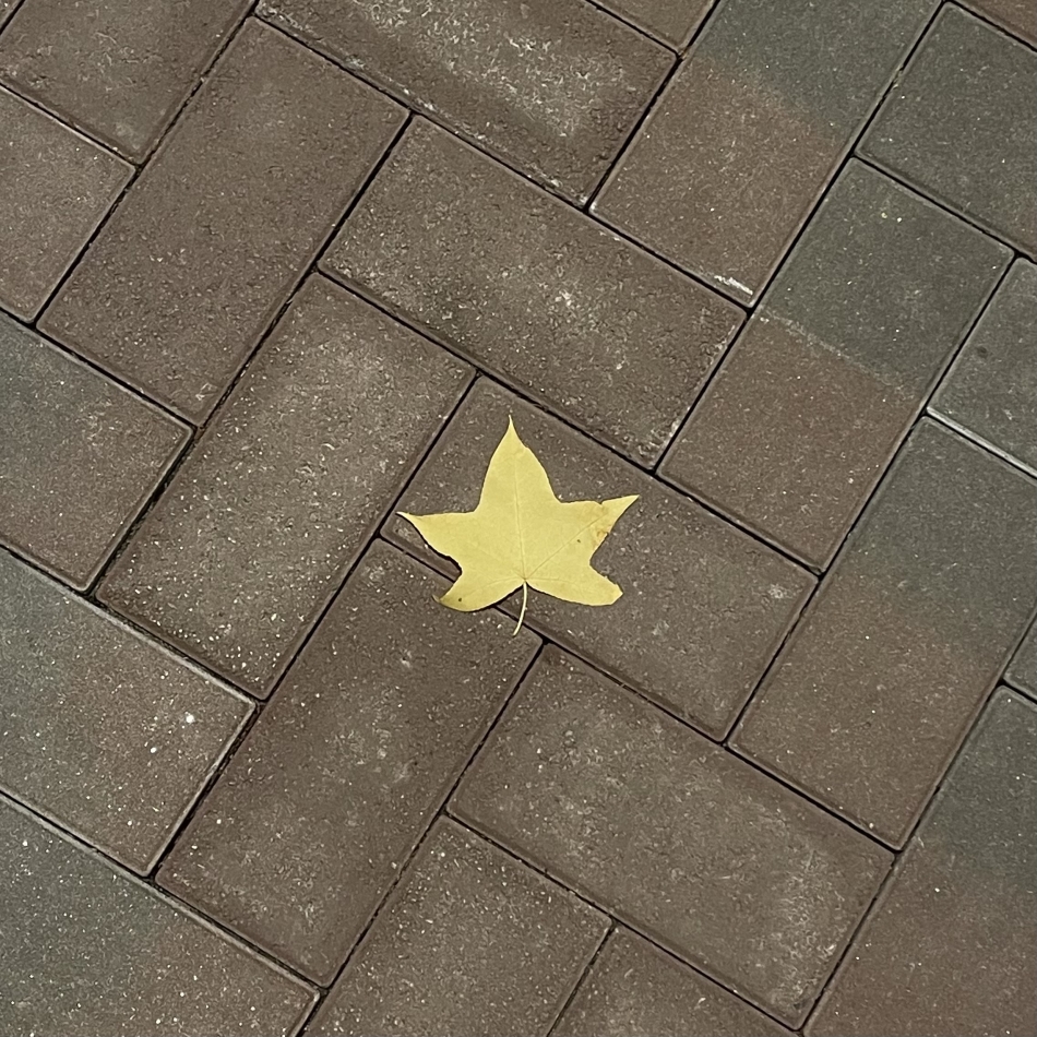 カラオケフードバー Mimi日記1483462