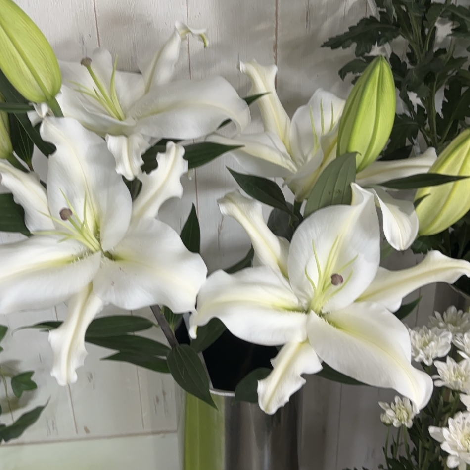 CLUB Red日記1375680