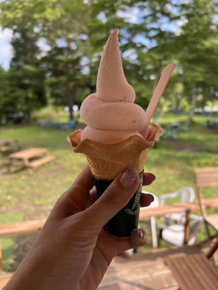 私の好きな🍦