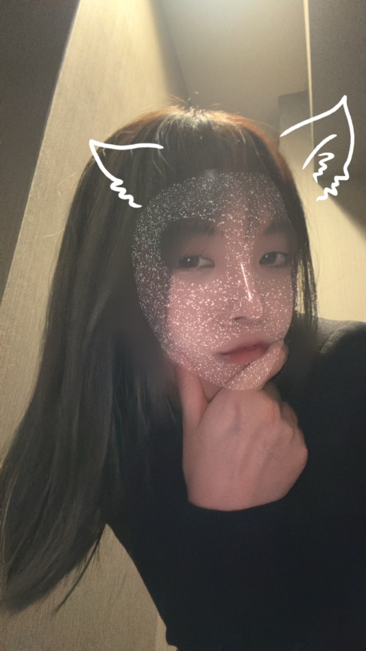 圧倒的写真不足