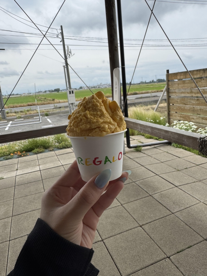 大好きなジェラート🍨