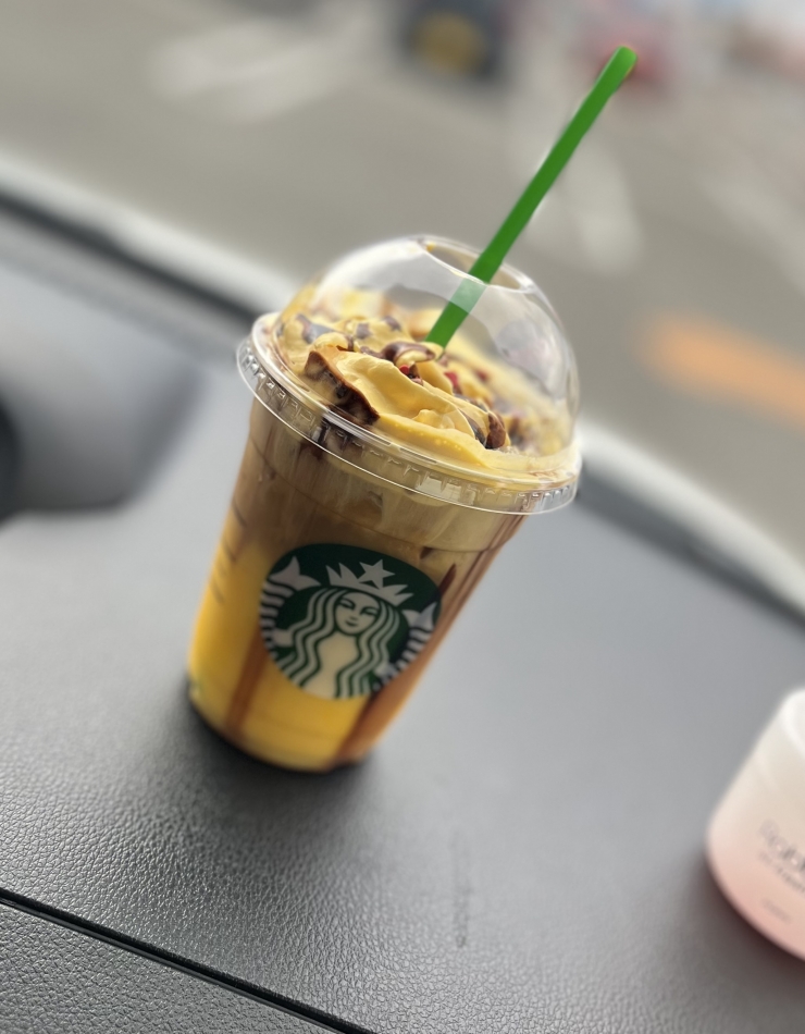 一条 葵
