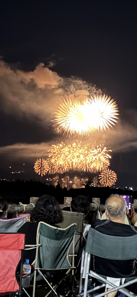 一条 葵