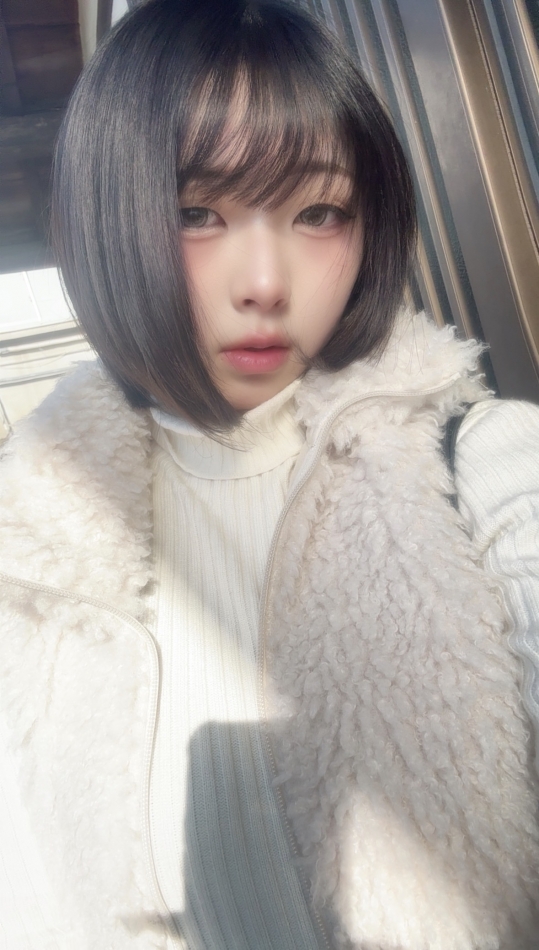 一条 葵