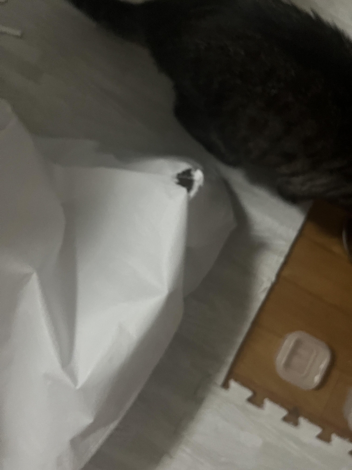 Friday☻（ 6月18日 ）