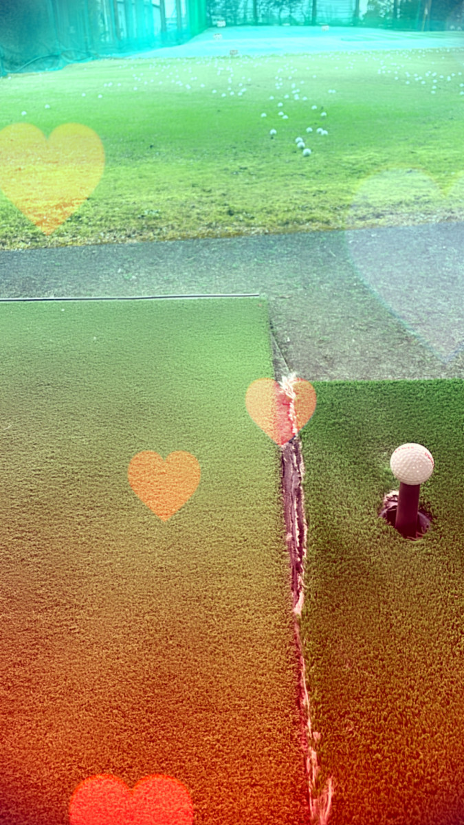 Bar Lounge 莉音　彦根駅前店日記731239