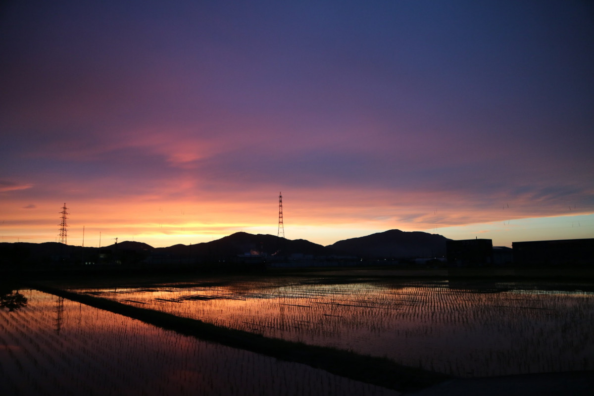 田舎とカメラ📷💗