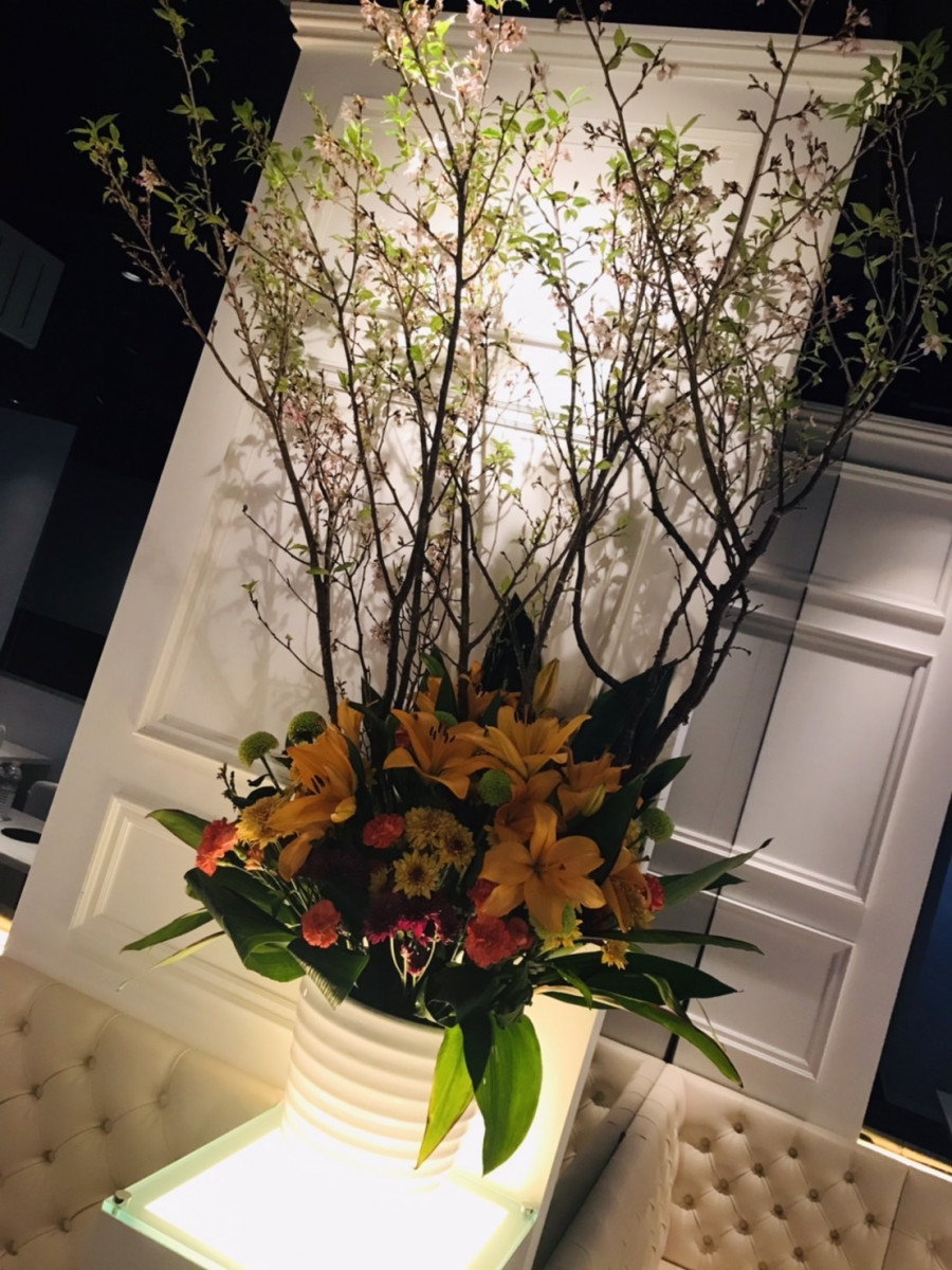 🍶🍷🍸🍹金曜日ですよ～😘🍶🍷🍸🍹