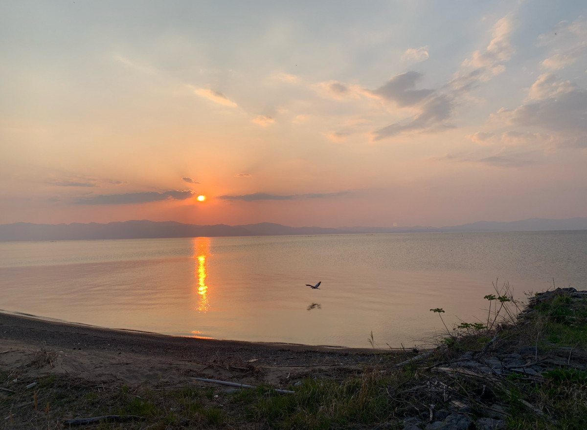 リフレッシュ🥱