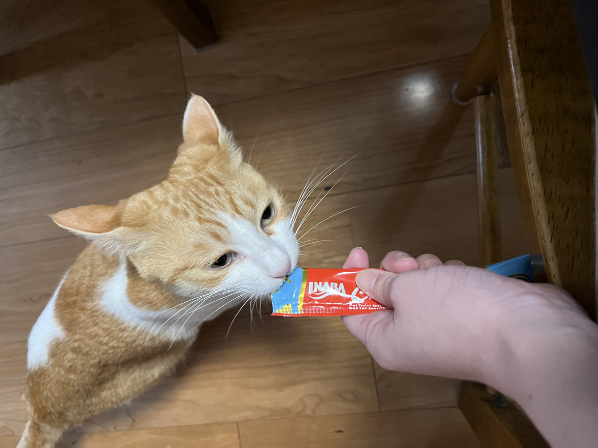 小悪魔🧚🏻‍♀️✨