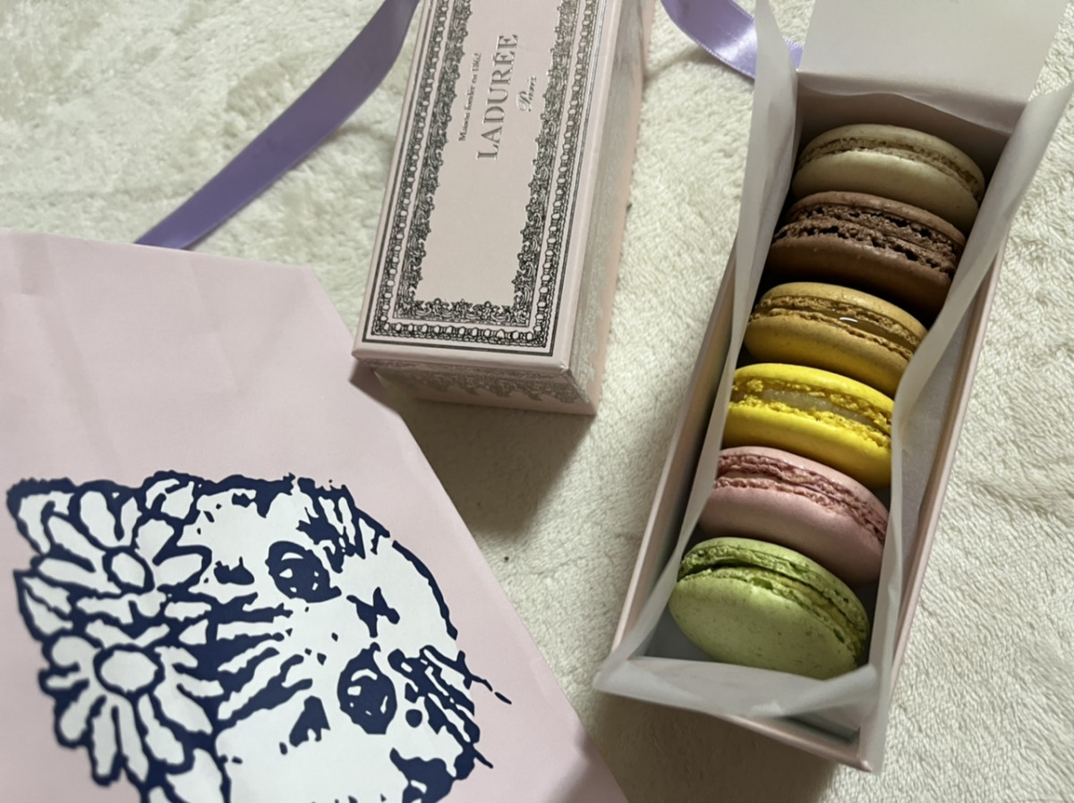 DEAR可愛こちゃん🧚🏻‍♀️