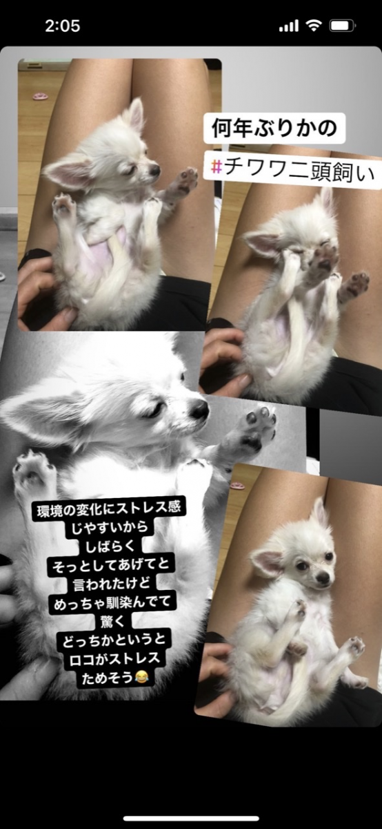 びっくりしたこと