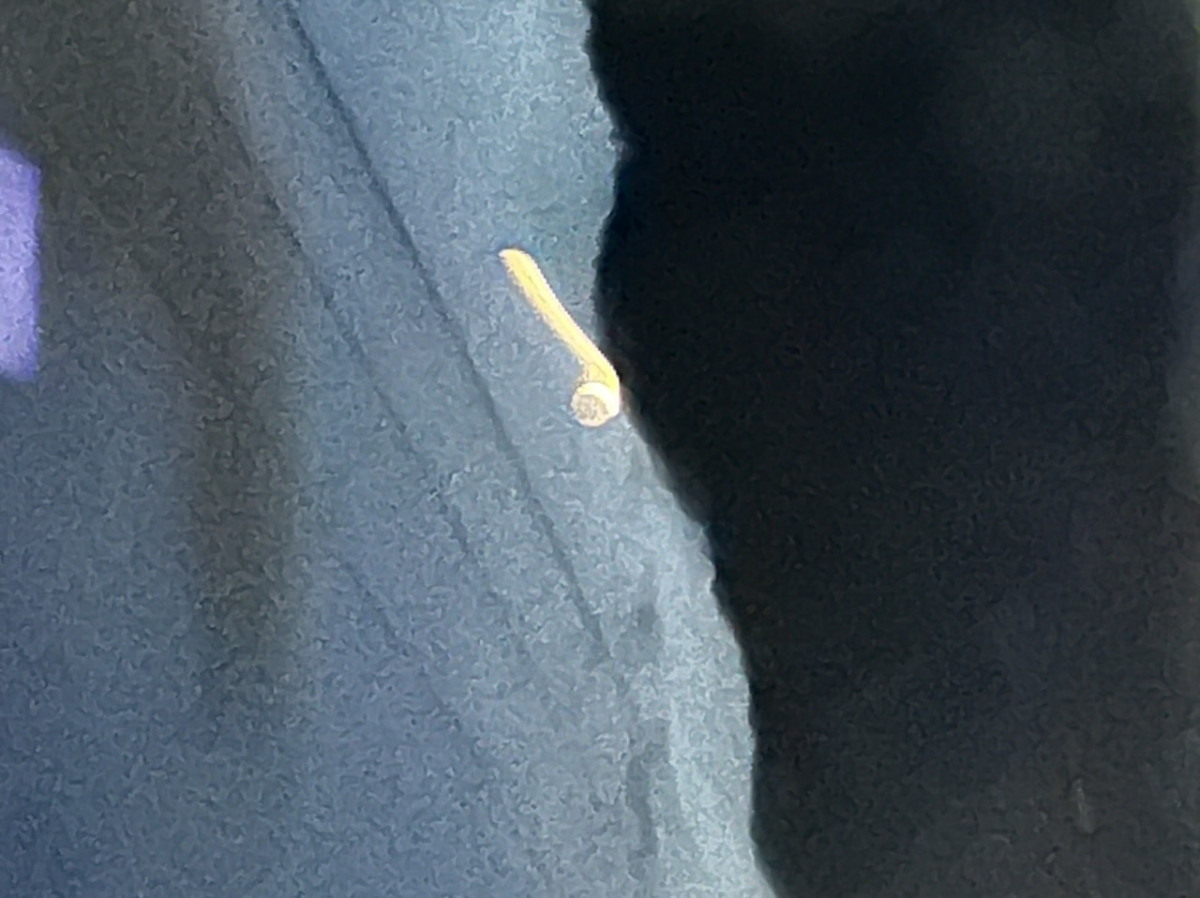 ムーン🌙パワー