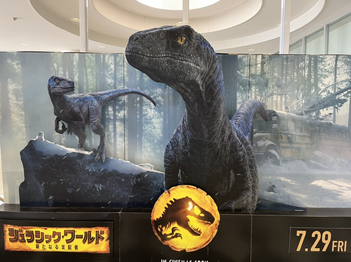 久しぶりの映画館   寝ずに最後までみれ...