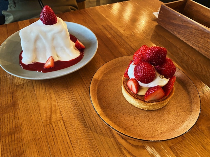 こないだビビのおもちとかいう女と横浜に行きました🥳🥳