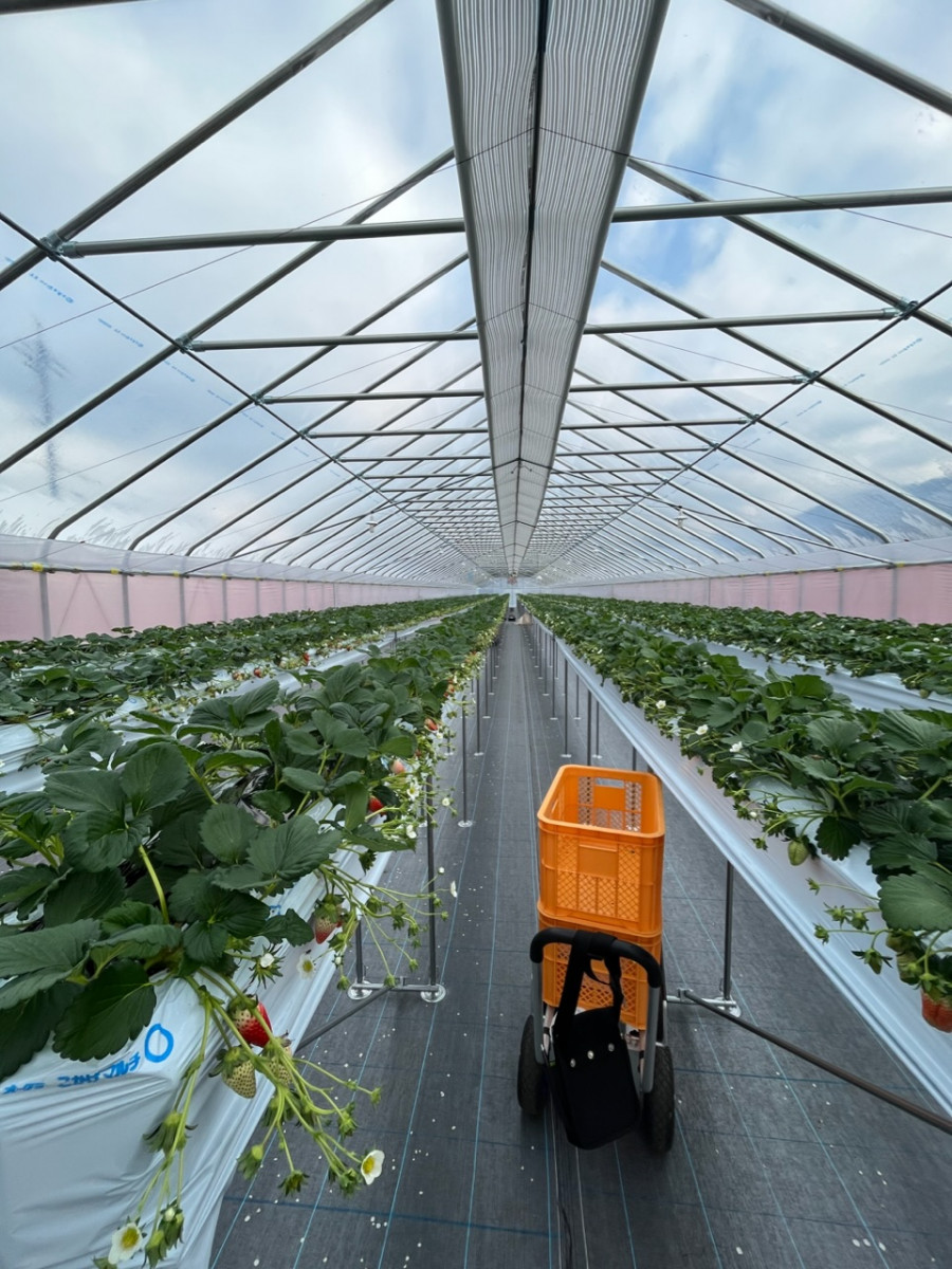 あけましておめでとうございます🎍⛩