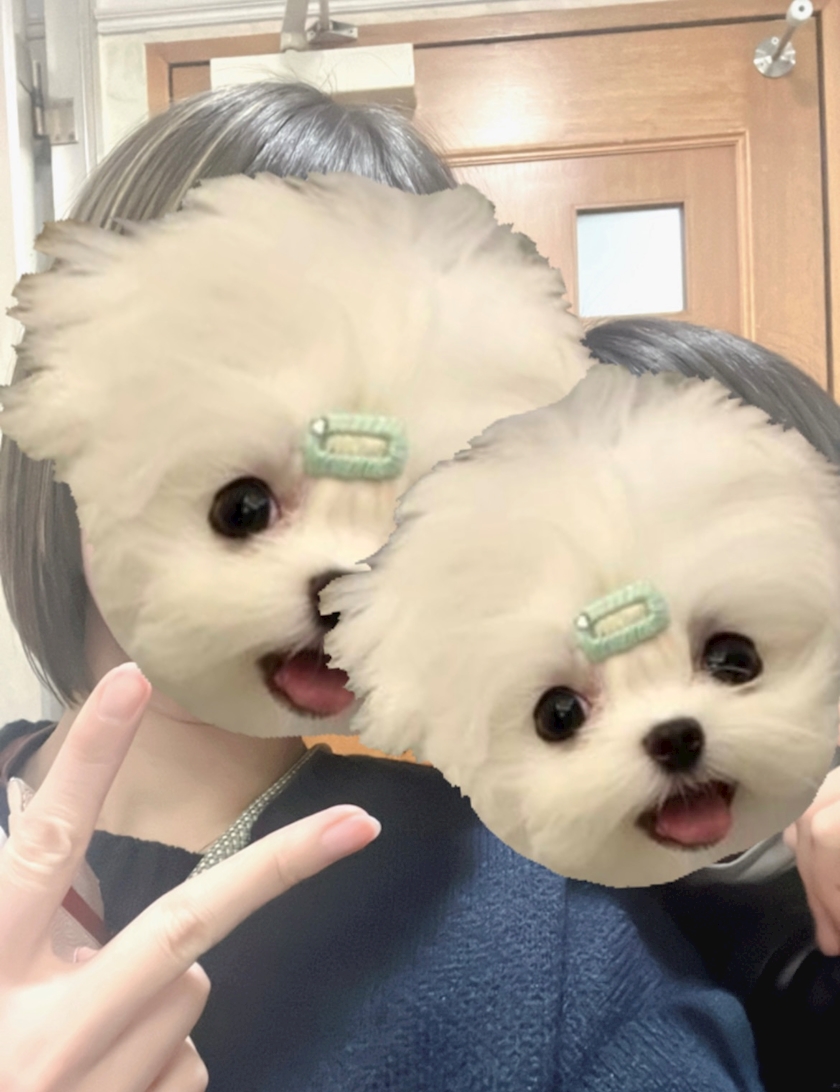 Vivienne日記845220