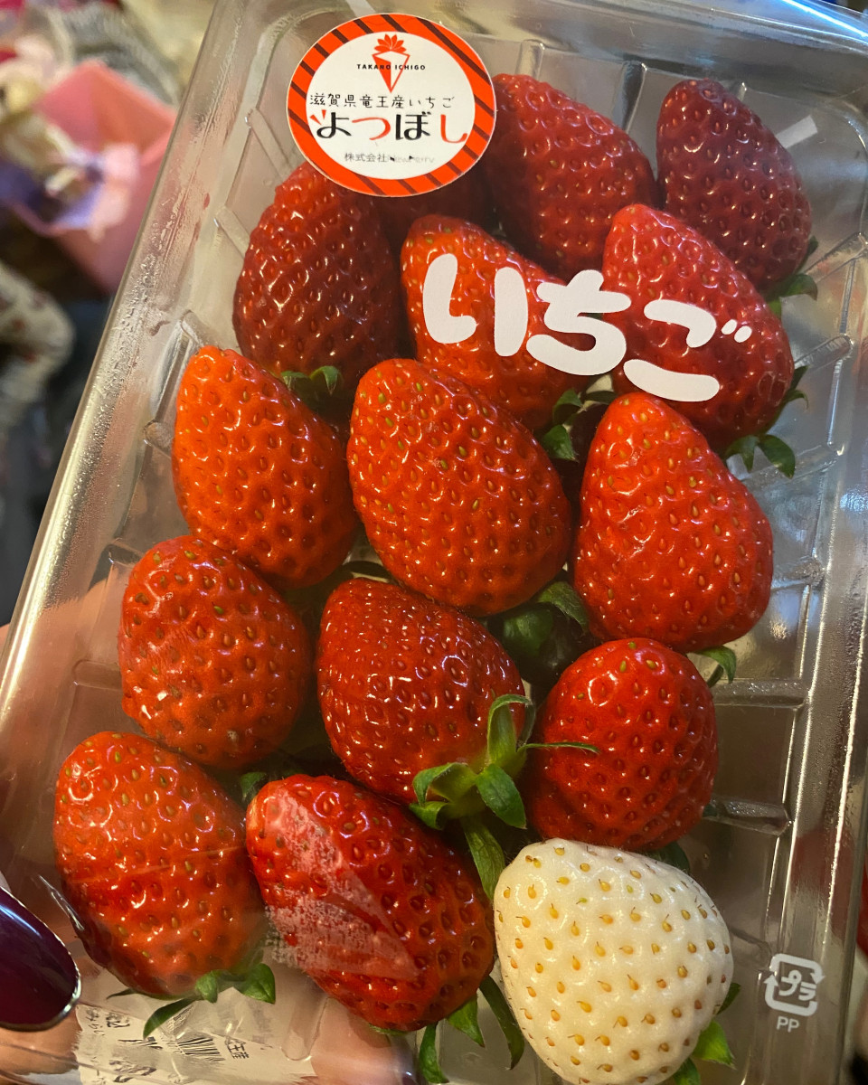 🍓🤍