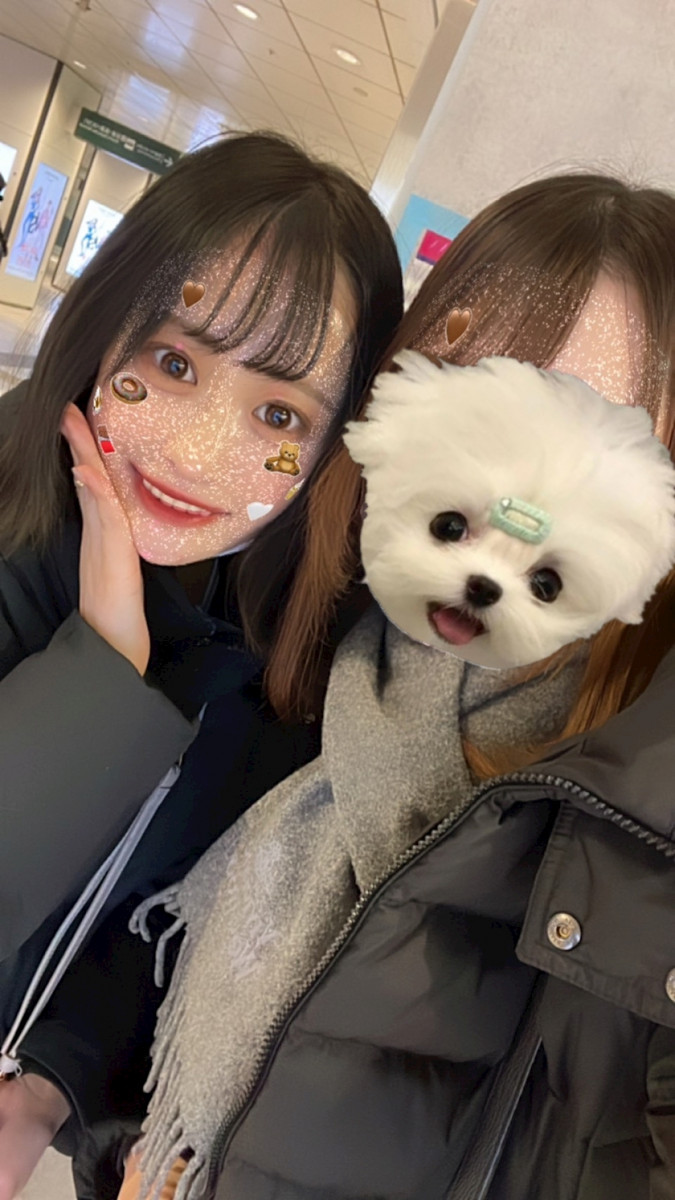 すき鍋食べた 🐷🪄