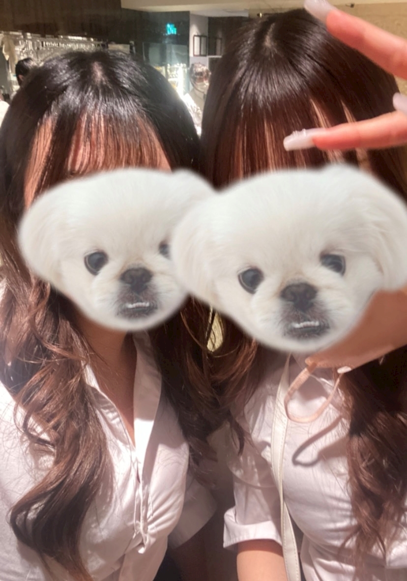 Vivienne日記854428