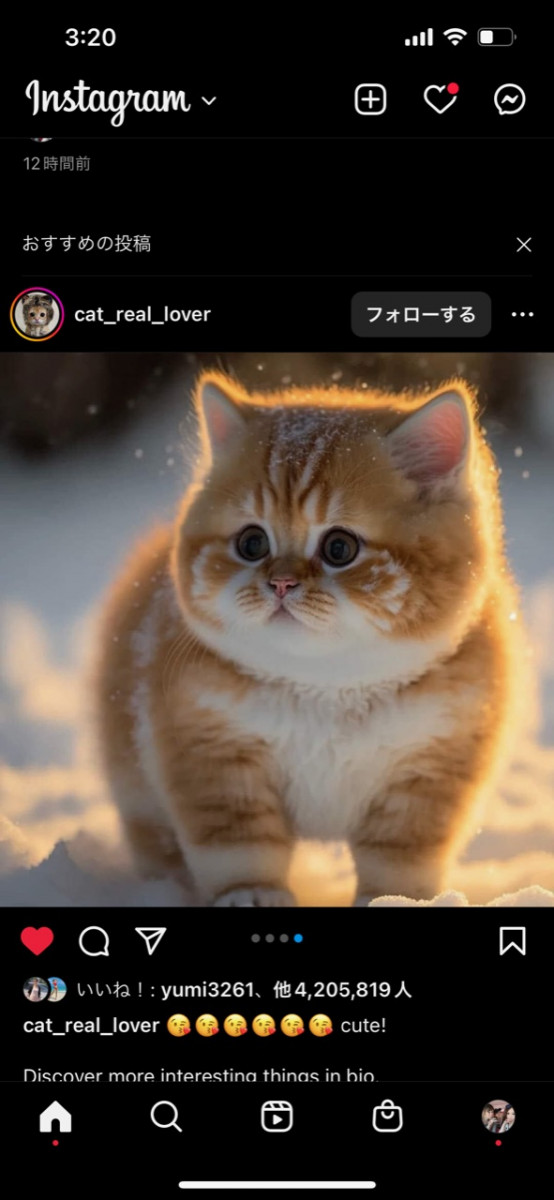 にゃん🐈にゃん🐈‍⬛