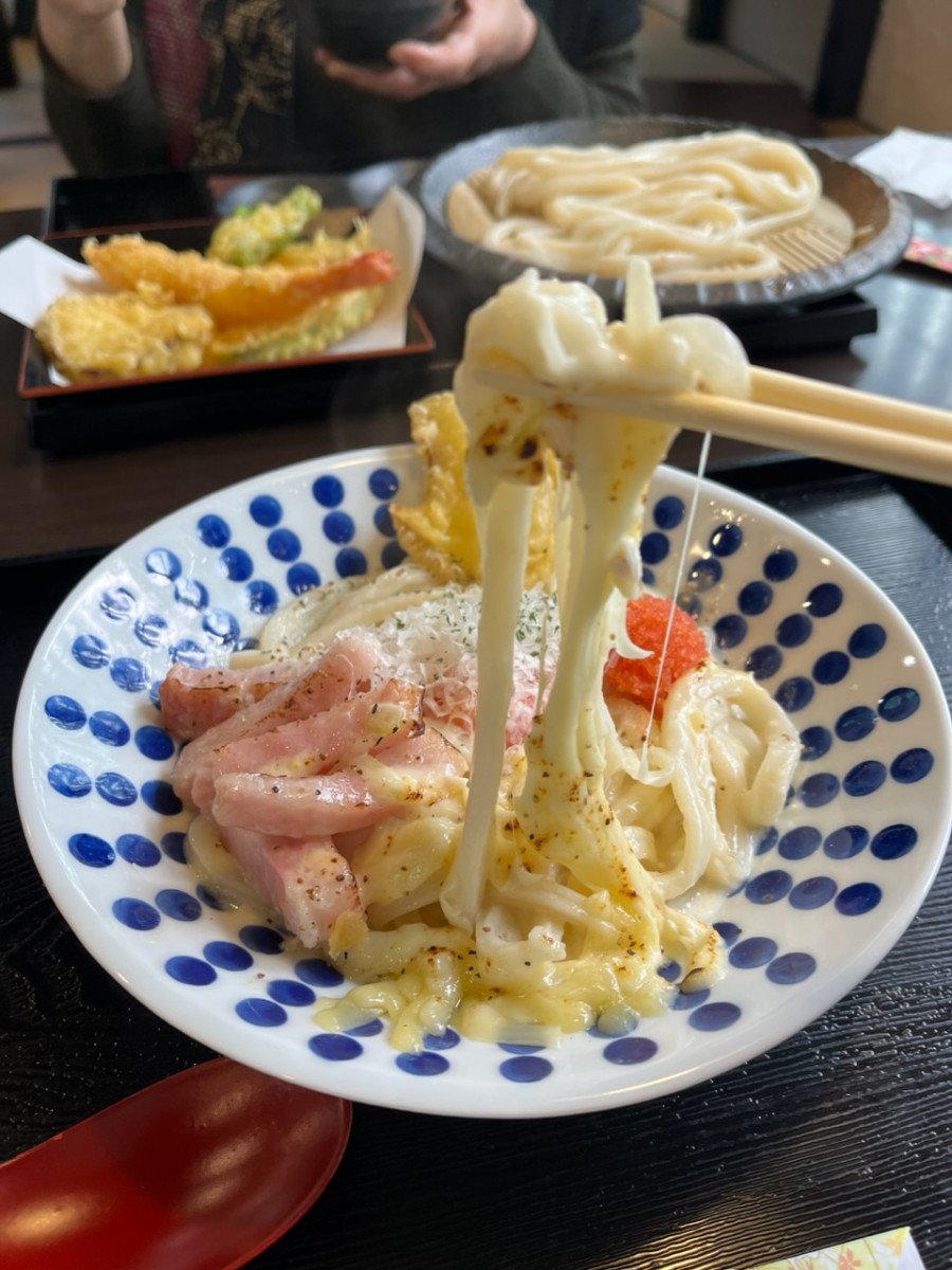 限定うどん