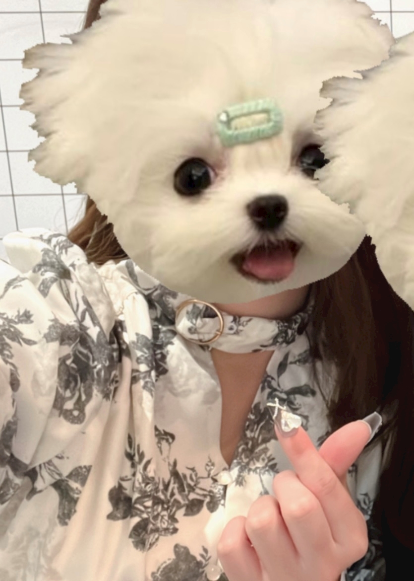 Vivienne日記873612