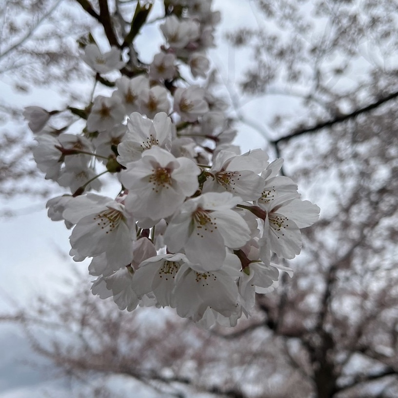 深い様で浅い話