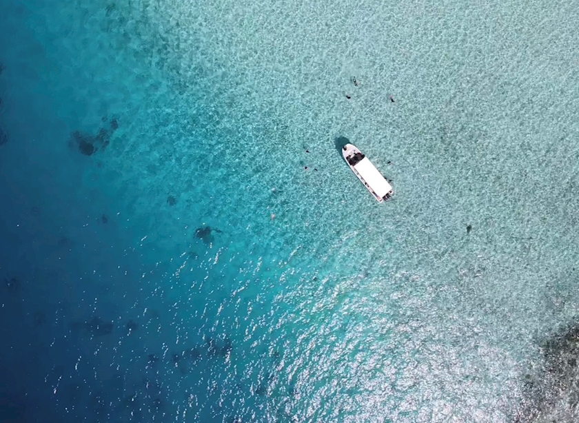 Vivienne日記923245