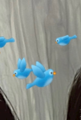 今日います！！