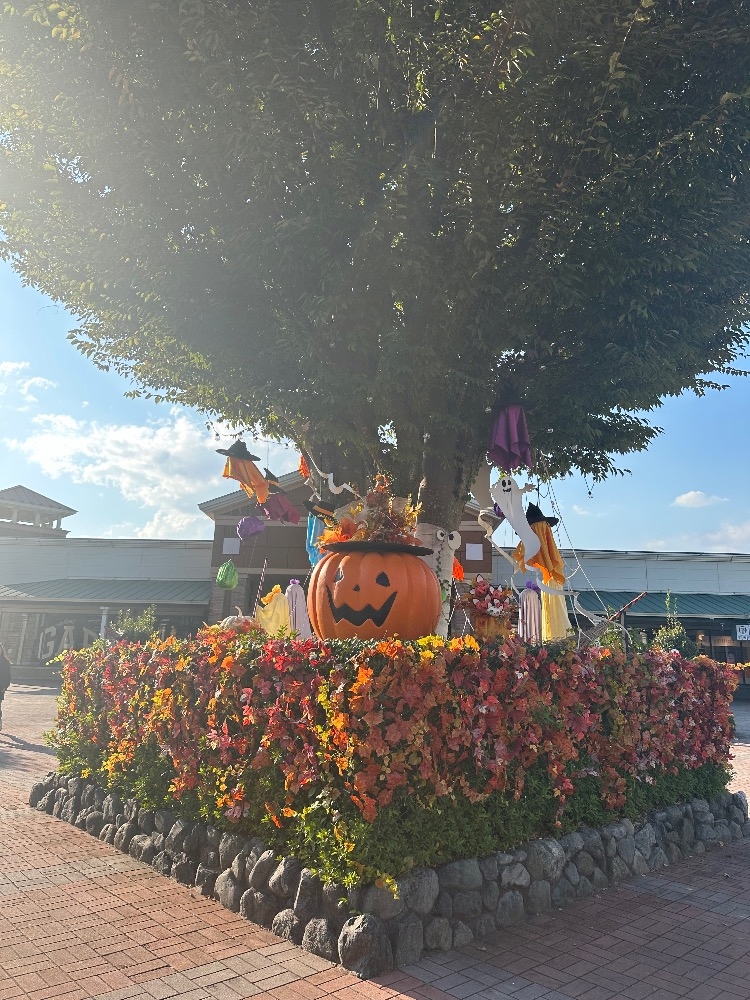 ショッピング🛍