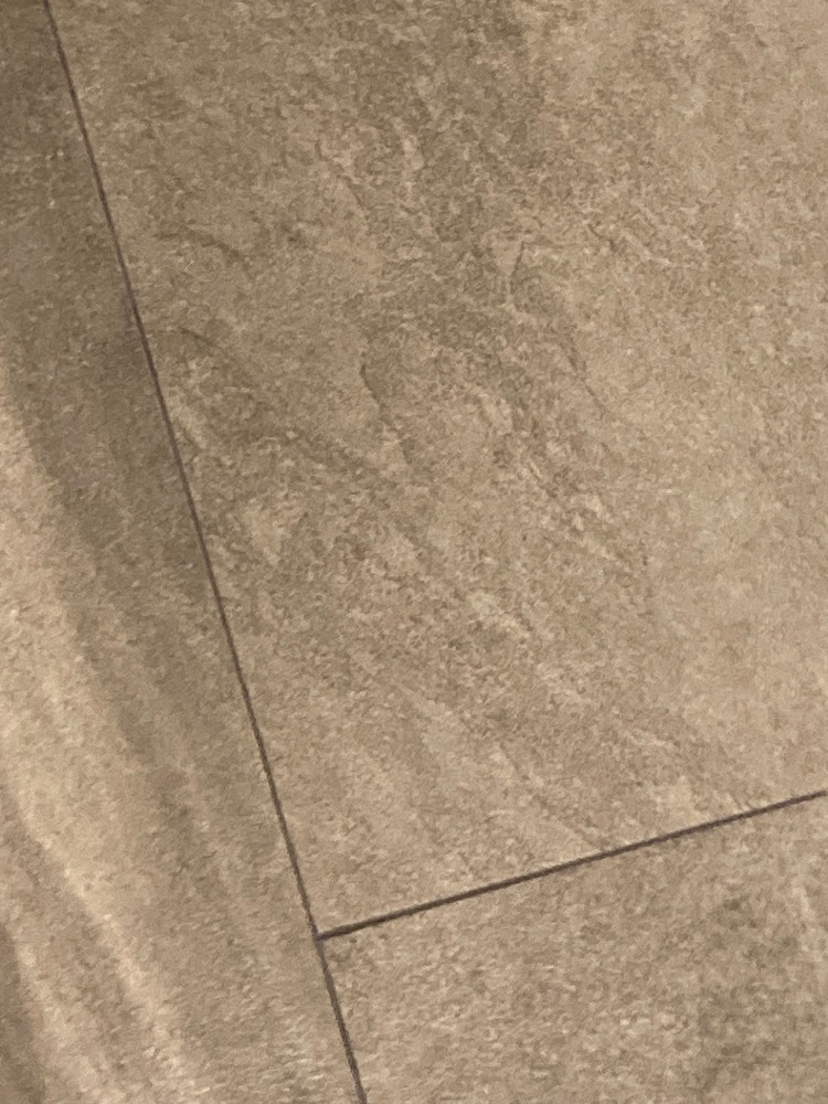 vivid cafe日記988645