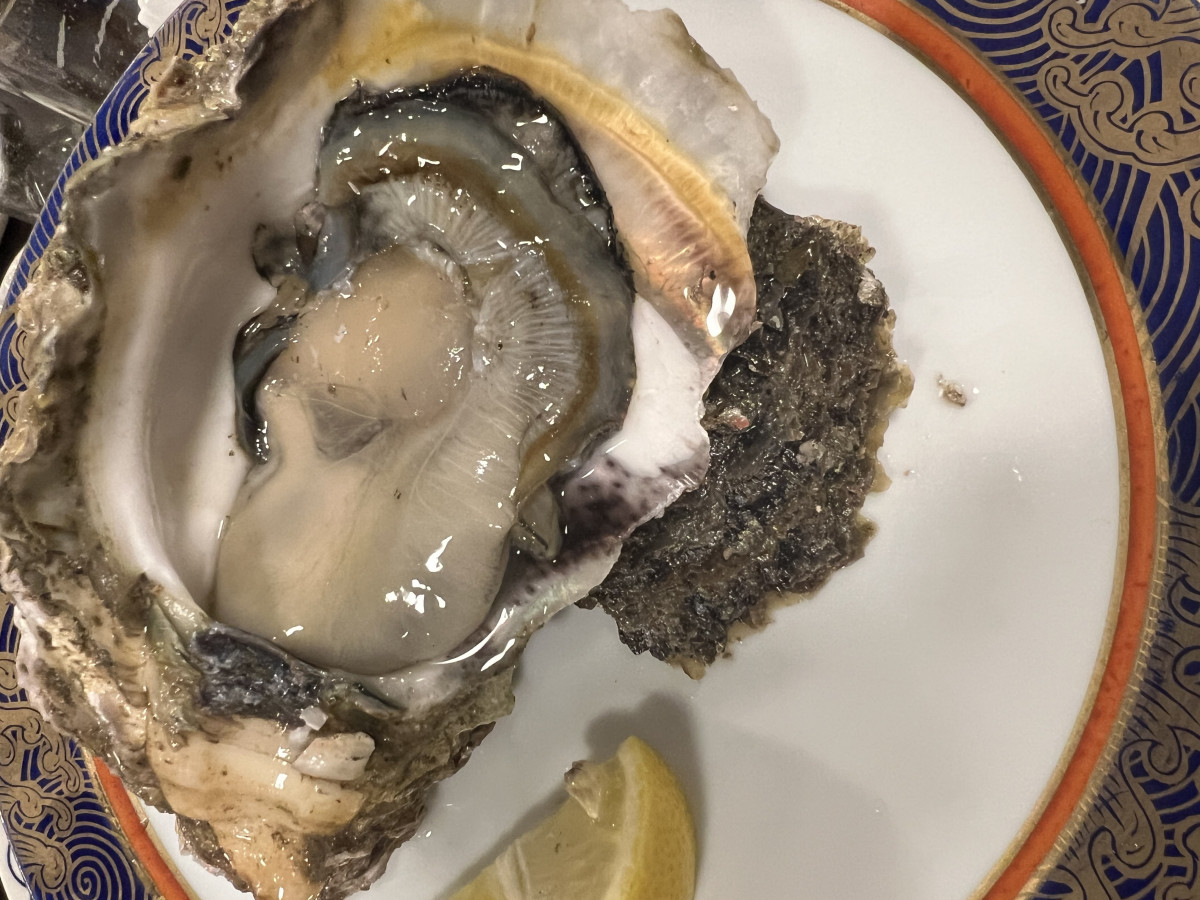 NEW CLUB 虎日記1161668