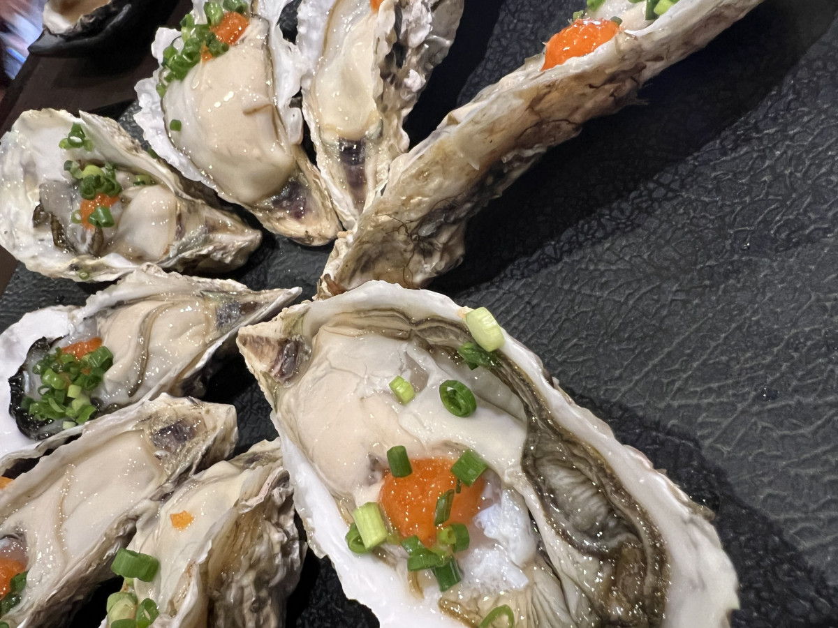 NEW CLUB 虎日記1166166