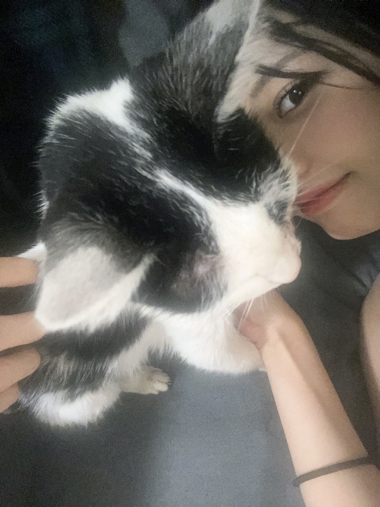 Vivienne日記1192596