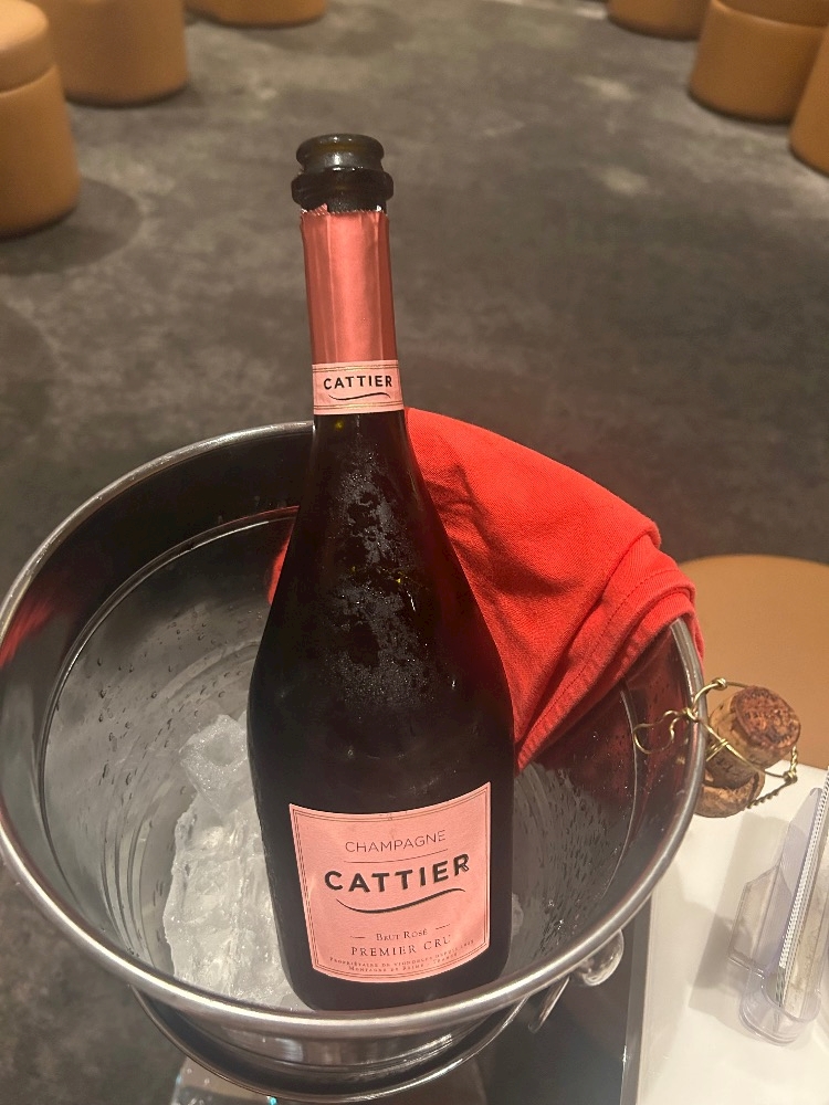 今週末はドレスデーです☺️