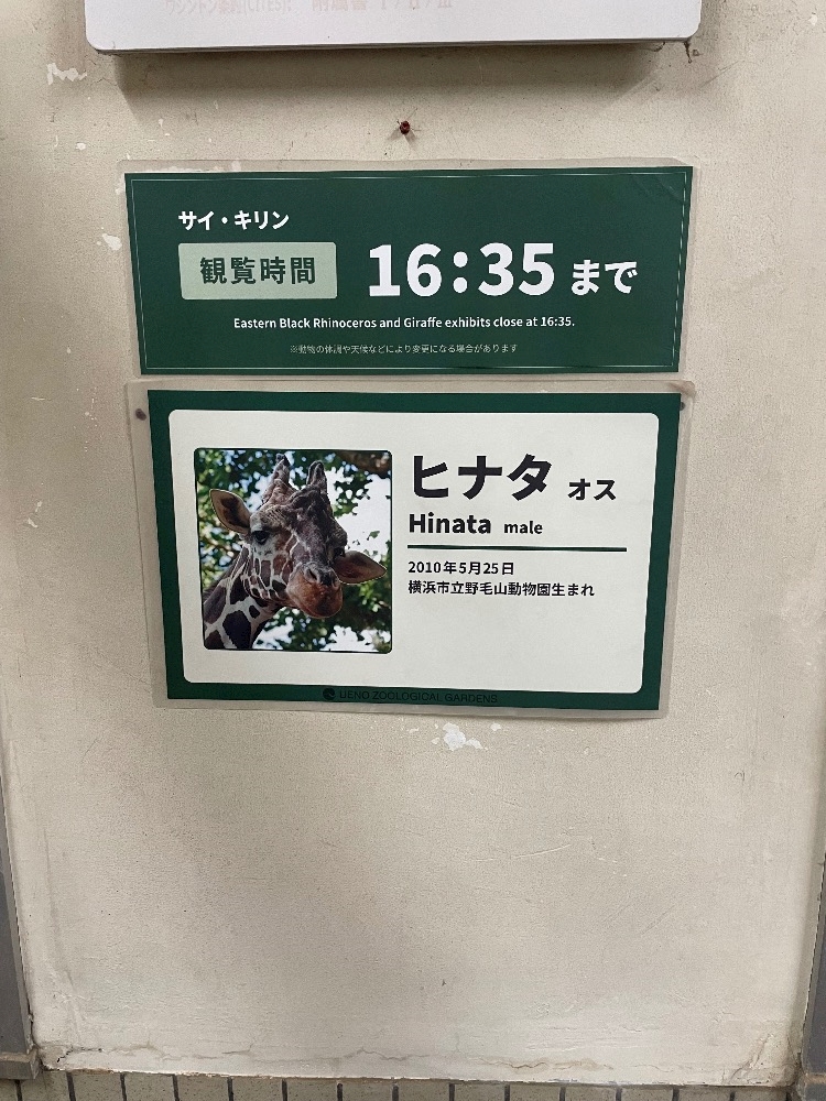 Vivienne日記1198575